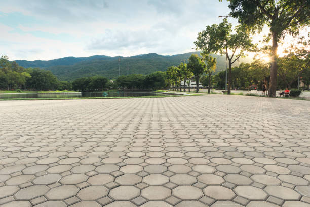 Best Commercial Driveway Pavers  in Beeville, TX